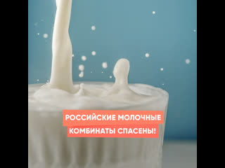 russian dairy plants saved